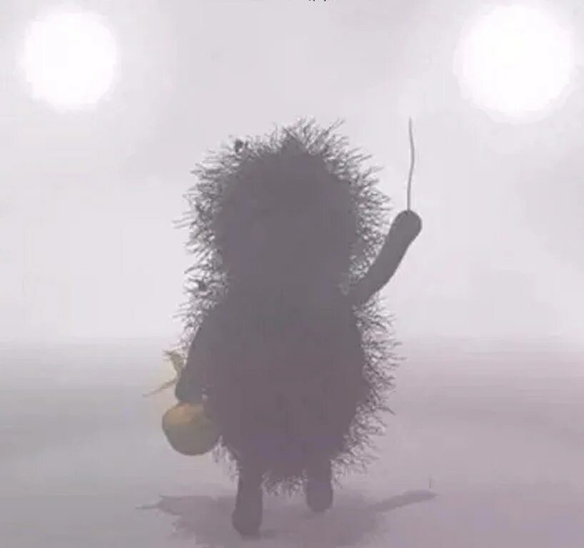 Цитаты со смыслом. Пошли пойдем а куда. Огонь высказывания красивые. Мне всё равно куда главное с тобой. Мне все равно идем.