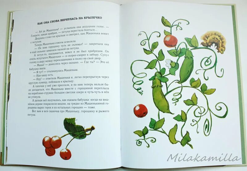 Горошинка почему и. Горошинка как пишется и почему. Горошинка почему и. Горошинка почему и. Горошинка как пишется правильно.