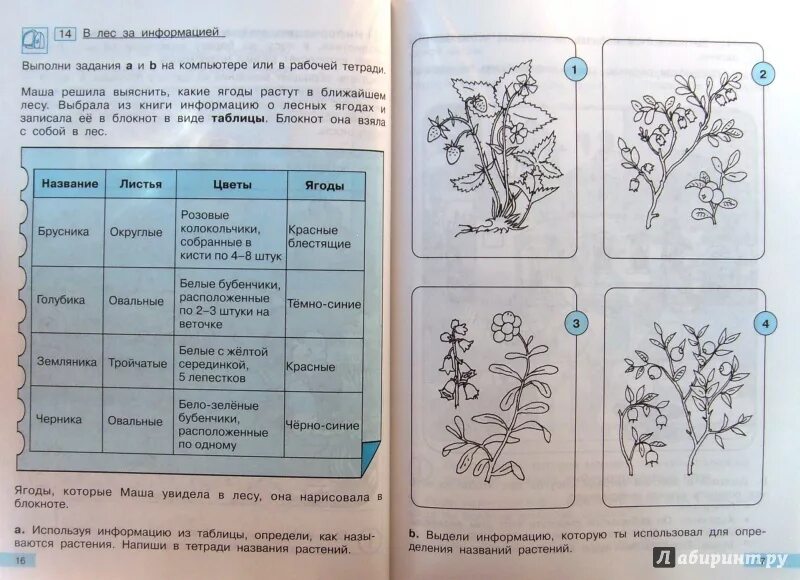 Информатика 2 класс учебник Бененсон. Информатика 2 класс рабочая тетрадь Бененсон. Учебник Бененсон 2 класс Информатика 2. Информатика 2 класс рабочая тетрадь Бененсон Паутова. Информатика 2 класс бененсон паутова