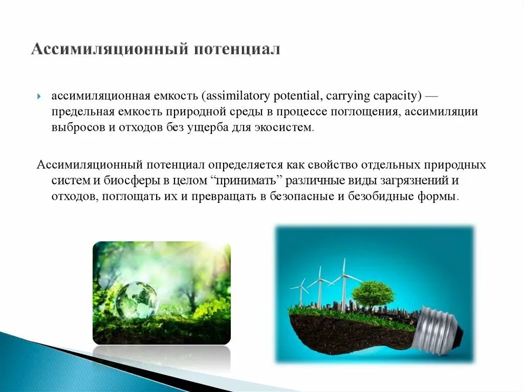 Ассимиляционный потенциал территории. Качество окружающей среды. Ассимиляционный потенциал окружающей среды значение. Спрос на ассимиляционный потенциал.