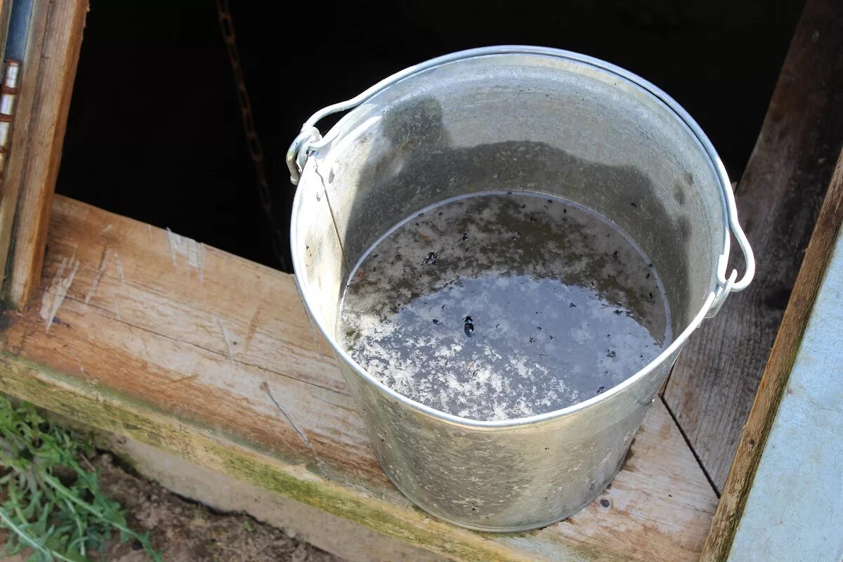 Ведро с колодезной водой. Ведро с водой из колодца. Колодец ведро с водой. Колодезная вода. Ушла вода из колодца