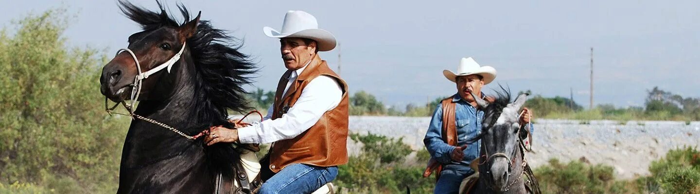 Los vaqueros