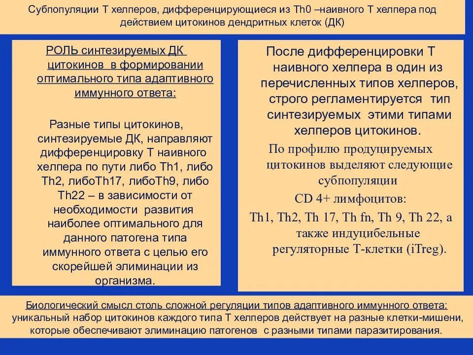 Зависимый второй главный. Классификация т хелперов. Охарактеризуйте субпопуляции т-хелперов.. Субпопуляция т хелперов дифференцирующихся из th0. Роль т – лимфоцитов – хелперов 1 типа..