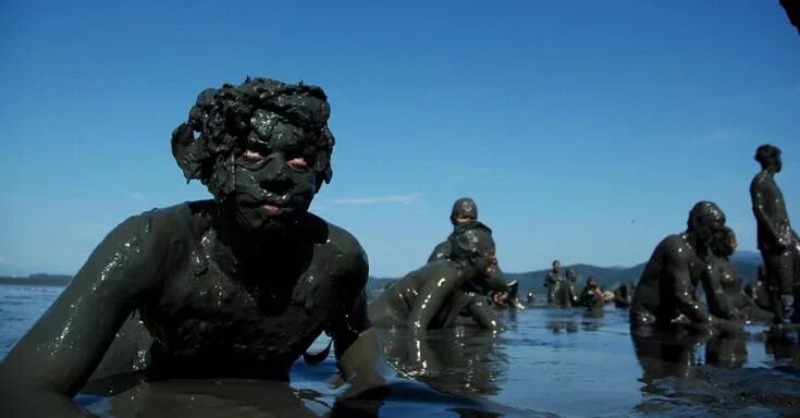 Image result for animal covered in oil Oil spill, Oil pollution, Oils