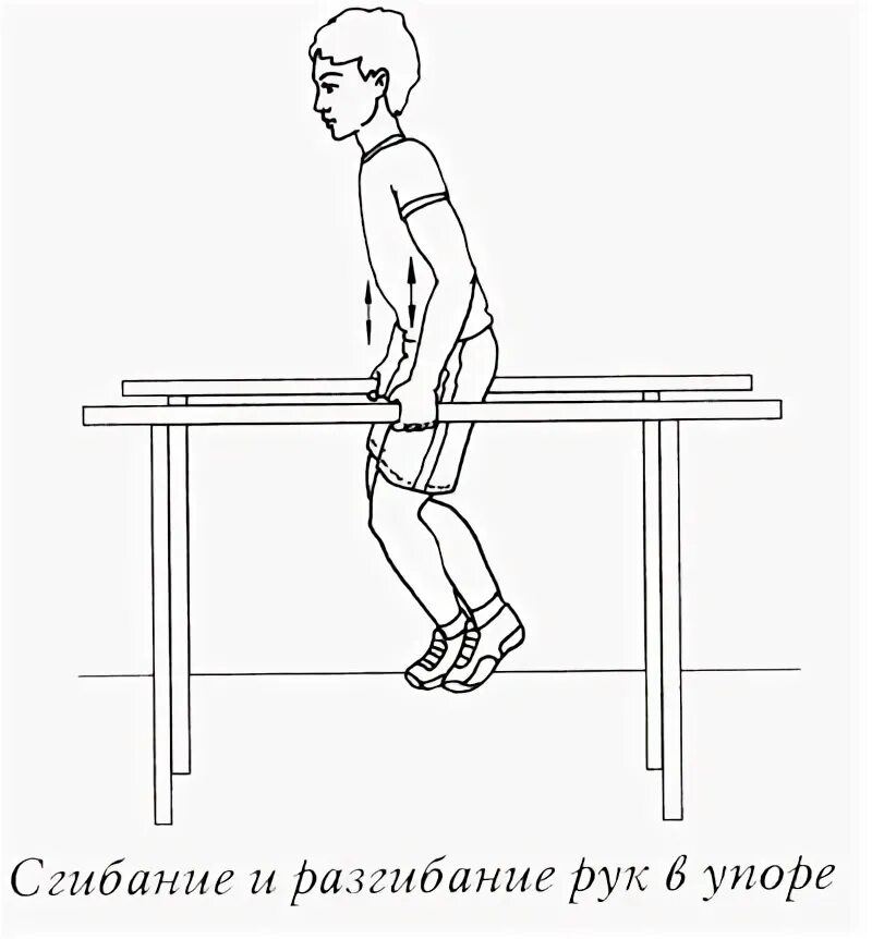 Подтягивание ног в упоре. Сгибание и разгибание рук в упоре на брусьях. передвижение на брусьях в упоре на руках.. отжимания в упоре на брусьях. сгибание и разгибание рук в упоре на параллельных брусьях.