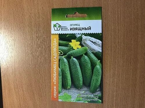 Огурец лютояр f1. Огурец изящный седек. Изящный сорт огурцов фото. Изящный f1 огурец. Огурцы сорт изящный.