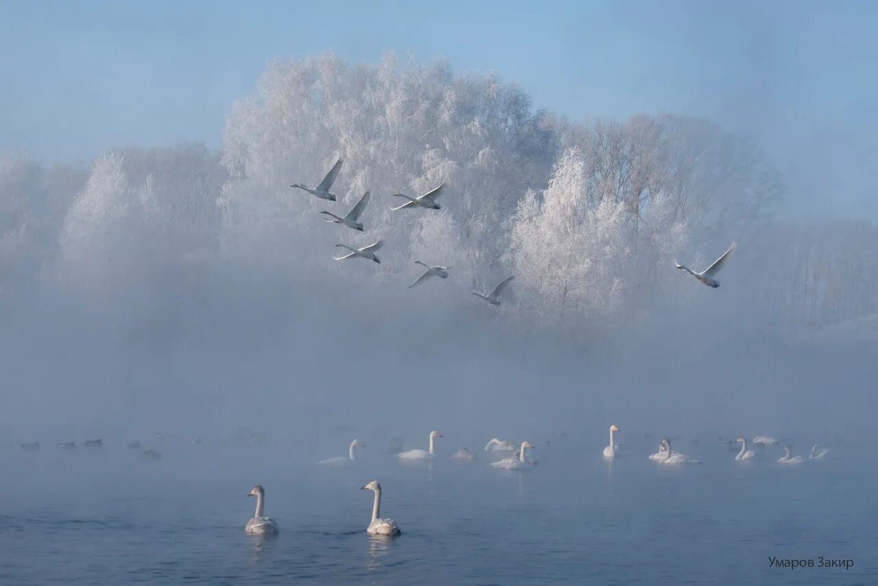 Улетели все метели. Стихотворение про зиму есенин. Стихотворение про метель и вьюгу. Текст песни праздник. Зимнее стихотворение.