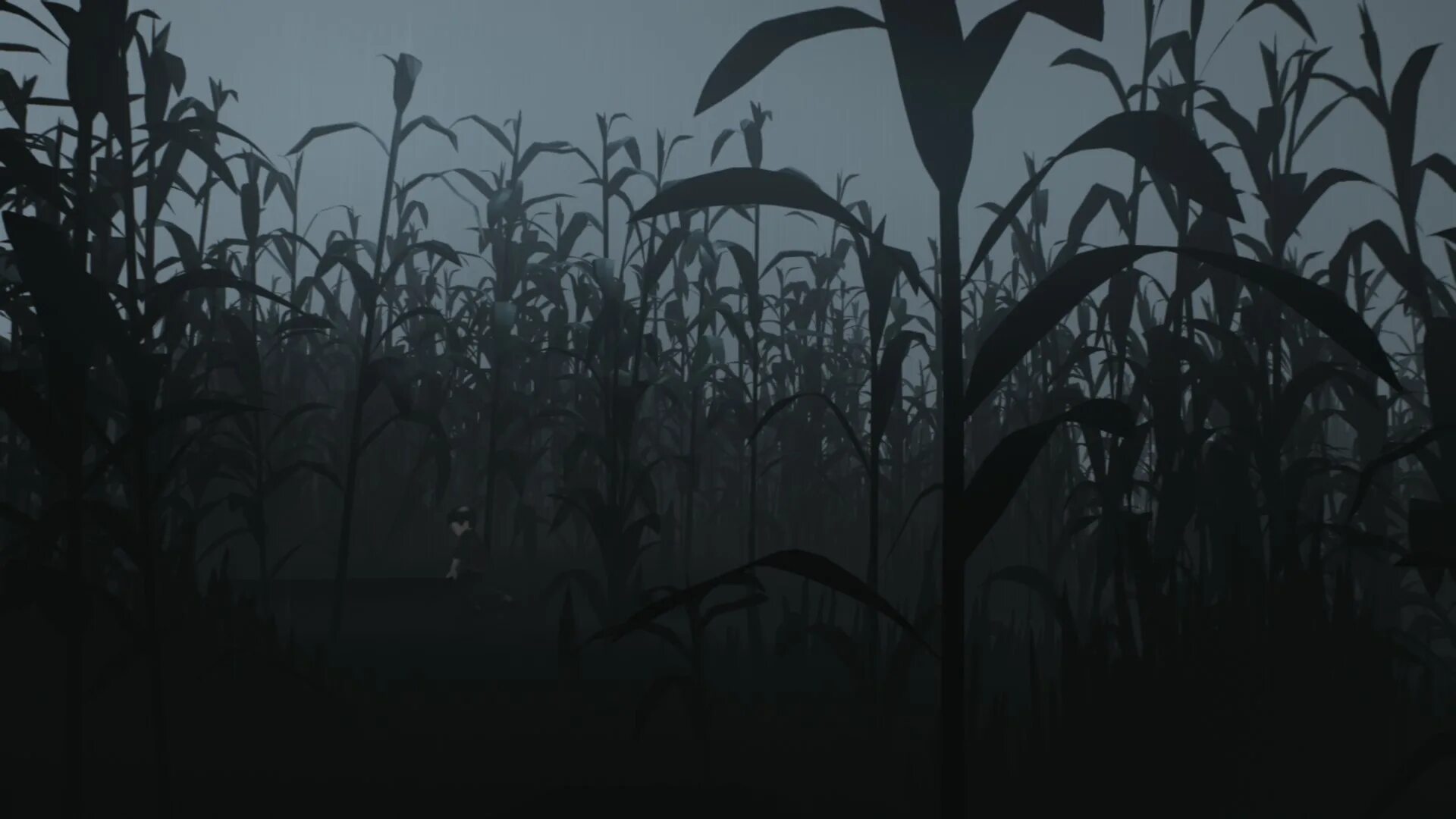 Лесостепь кукуруза. Кукурузное поле во сне. Кукурузное поле во сне. Кукурузное поле фон. Кукурузные поля украина.