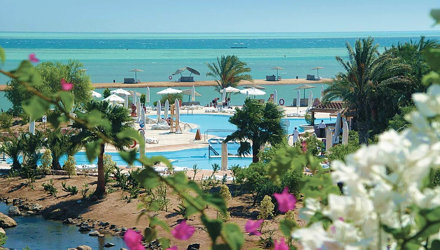 Movenpick resort spa el 5. Movenpick эль гуна. отель мовенпик шарм-эль-шейх. отель movenpick resort &amp; spa el gouna 5*. movenpick sharm el sheikh 5.