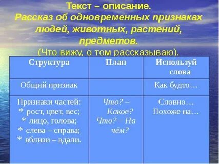 Используя слова описания