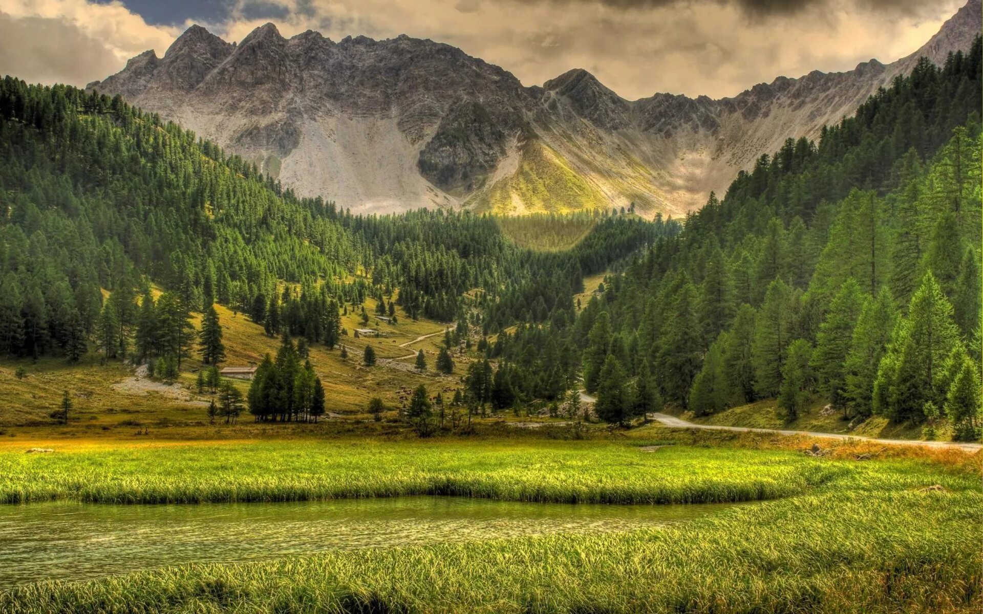 Грин Маунтин гора. Киргизия горы Долина Арашан. Сглаженный ландшафт Долина горы лес Тайга. Грин Маунтинс хребет. Лес горы слились все