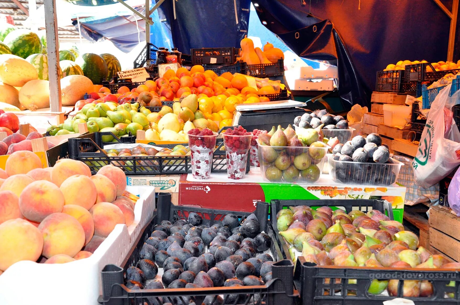 южный рынок новороссийск. рынки города новороссийска. новороссийск рынок продуктовый. рынки города новороссийска. мефодиевский рынок в новороссийске.