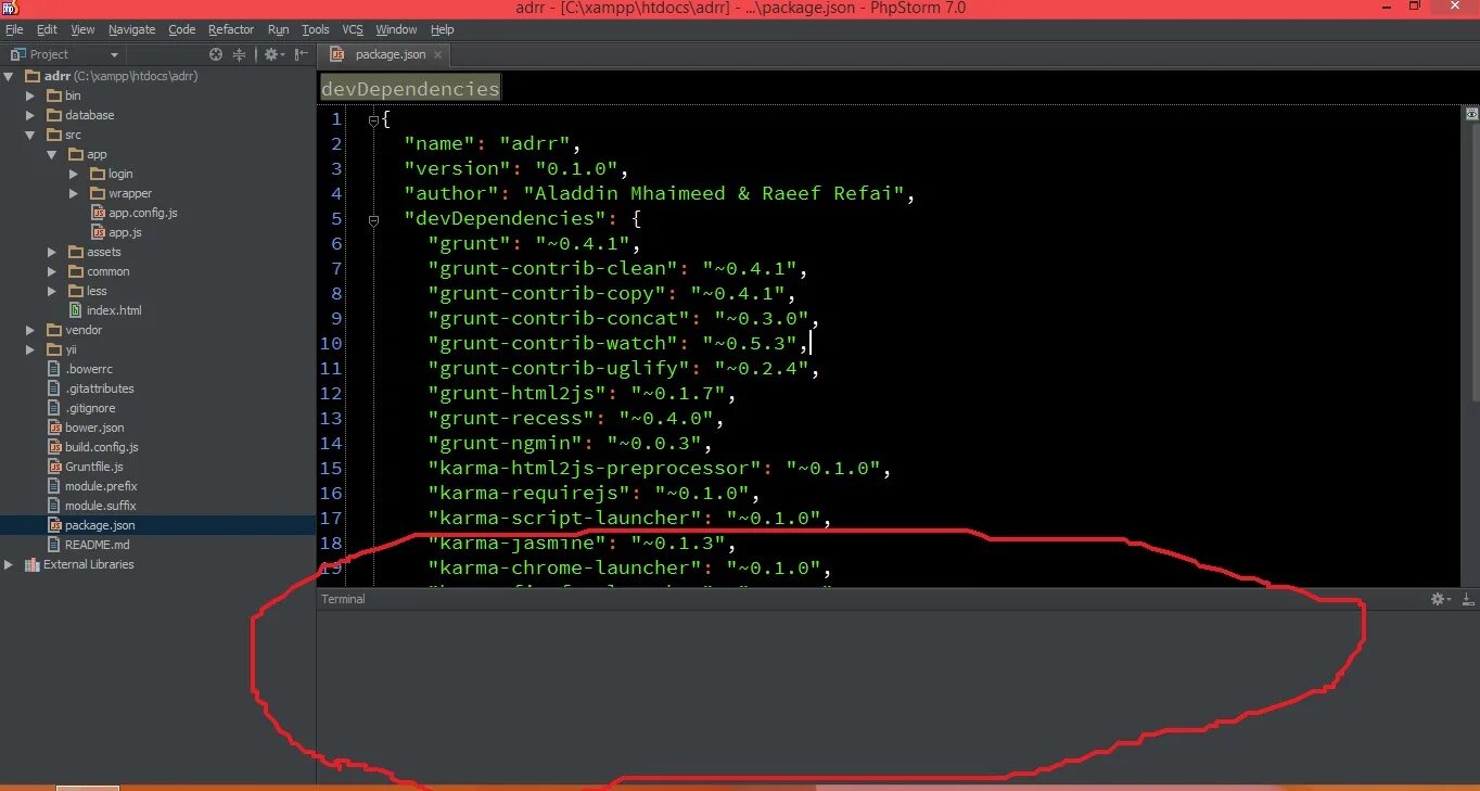 Phpstorm terminal. Phpstorm terminal