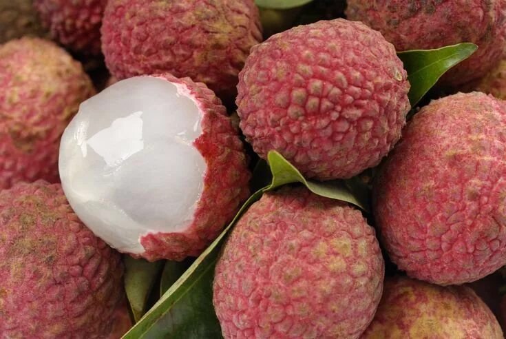 Canned Longan - Longan Syrup Best Quality Ms Holiday - Buy Longan Seed,Canned Lo