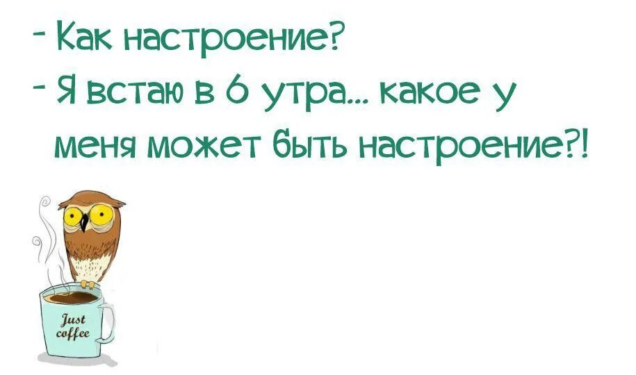 Как настроение что ответить с юмором. Как настроение что ответить. ответ на вопрос как настроение с юмором. как настроение смешной ответ. как ответить на вопрос как настроение.