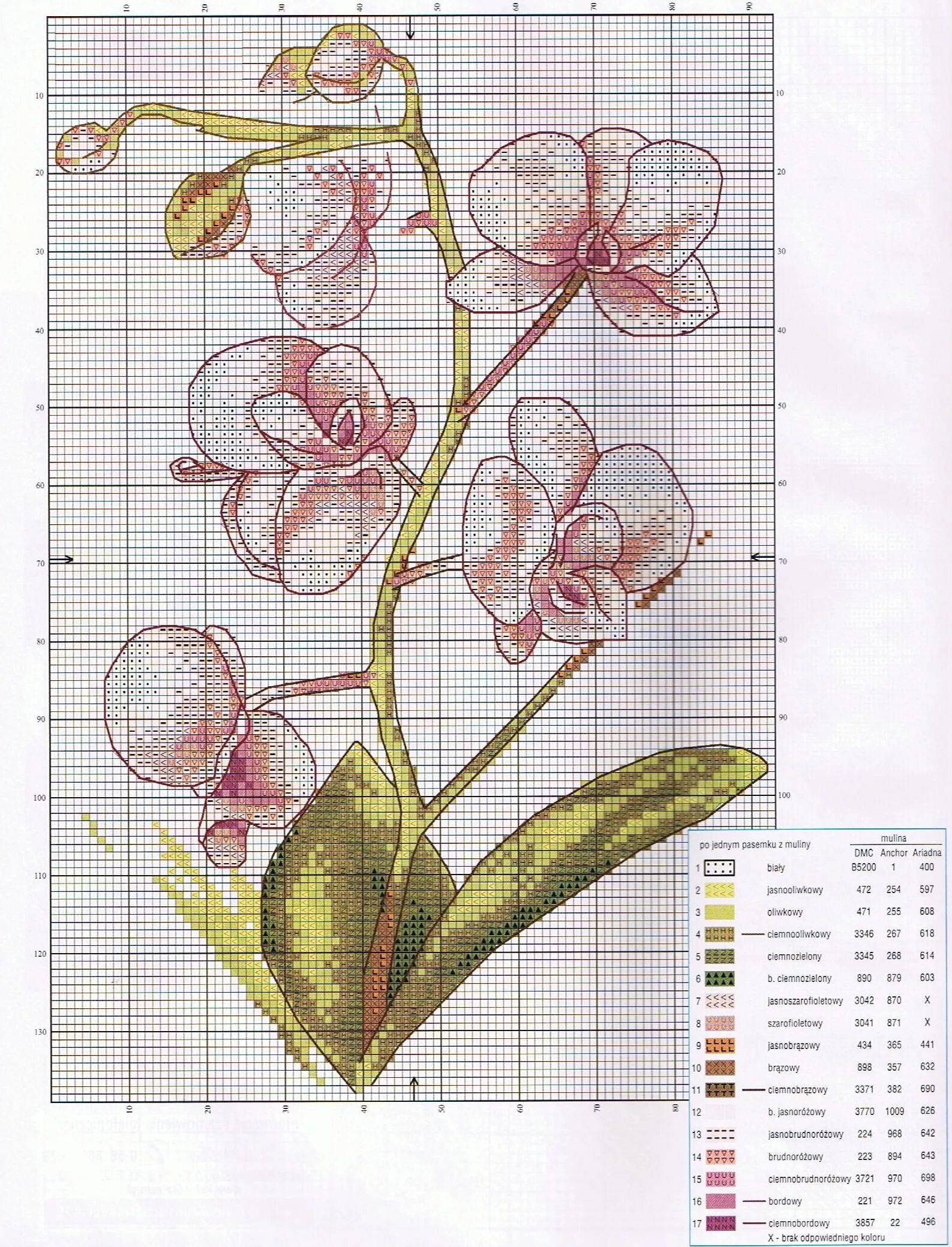 Схема вышивки крестом орхидеи. Вышивка крестиком риолис цветы. Орхидея вышивка. Схема орхидей. Схема орхидеи.