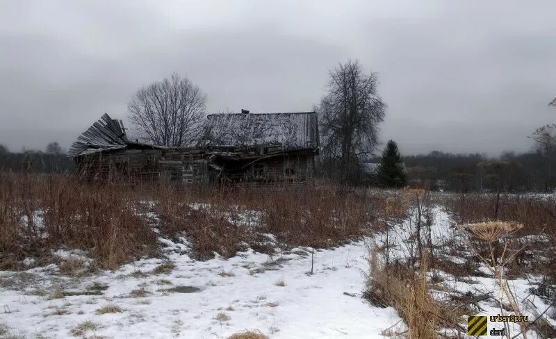 Исчезнувшие деревни Череповецкого района. Большое Ново Череповецкий район деревня. Деревня большие Стражи Череповецкий район. Названия исчезнувших деревень Череповецкого района. Нова череповецкий район