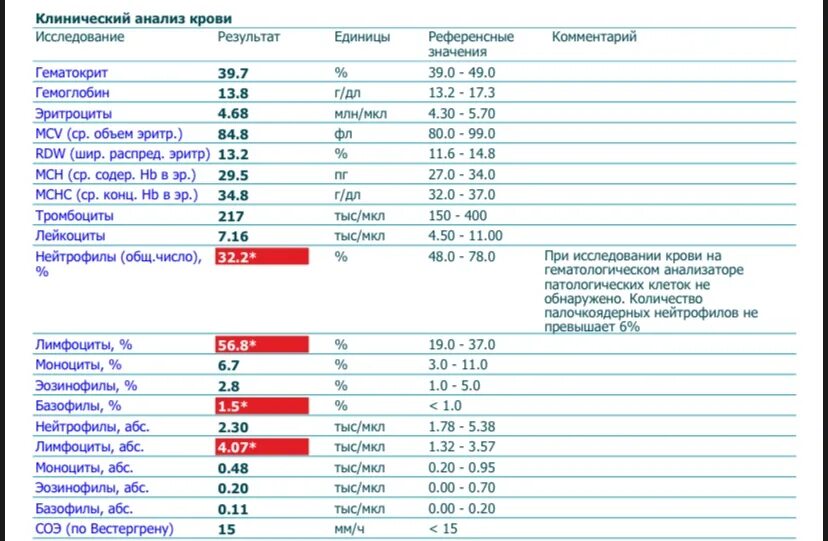 Лимфоциты повышены у женщины в крови. Базофилы что это такое в анализе крови у женщин. Изменение в клиническом анализе крови при гепатите в. Анализ крови ребенка повышены лимфоциты