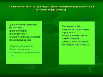 Вследствие чего в одном биогеоценозе происходит смена