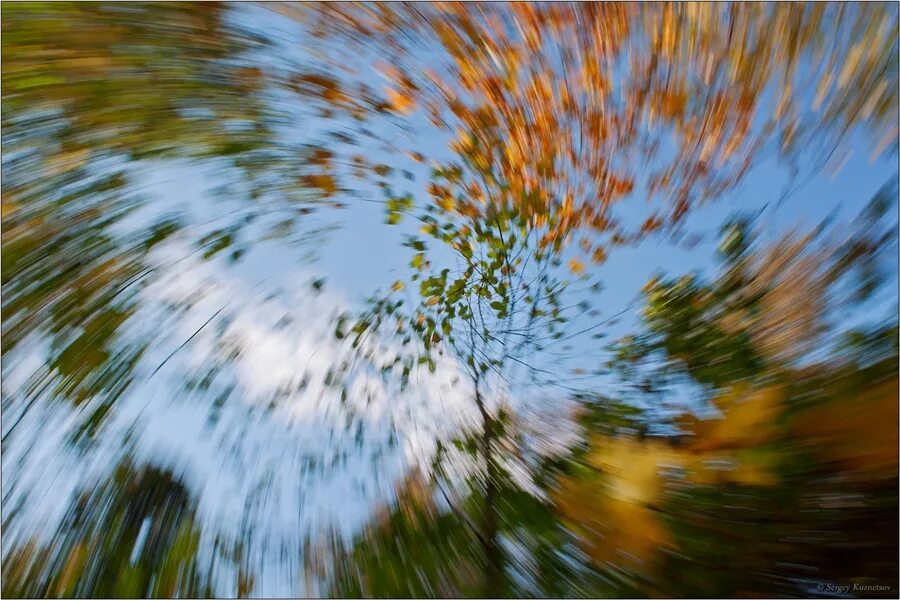 Сквозь дождь лучилось солнце. Осенний ветер. Осень ветер. Дождь и солнце. Лист на ветру.
