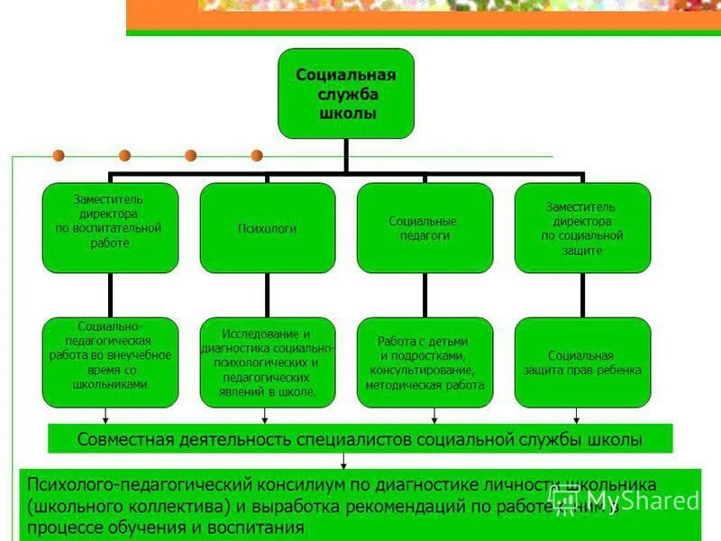 положение социальной службы в школе. положение социальной службы в школе. схема «структура социально-психологической службы». положение социальной службы в школе. положение методического положения.