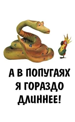 Измерение в попугаях. Намного длиннее. Высказывания об обиде на мужчину. А в попугаях я гораздо больше. Намного длиннее.