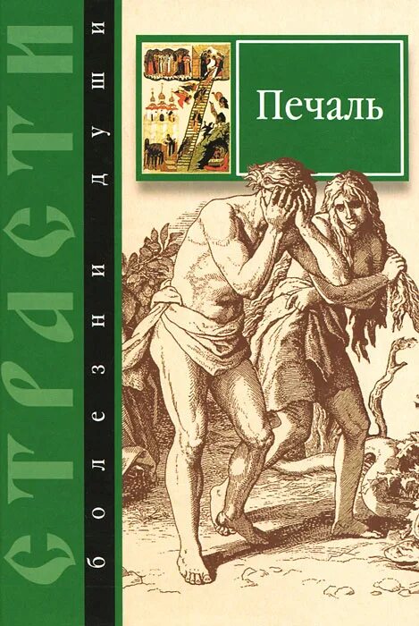 Книга печали не будет. Страсти болезни души книги. Страсти — болезни души. Печаль. Книжная печаль. Страсти болезни души тщеславие.