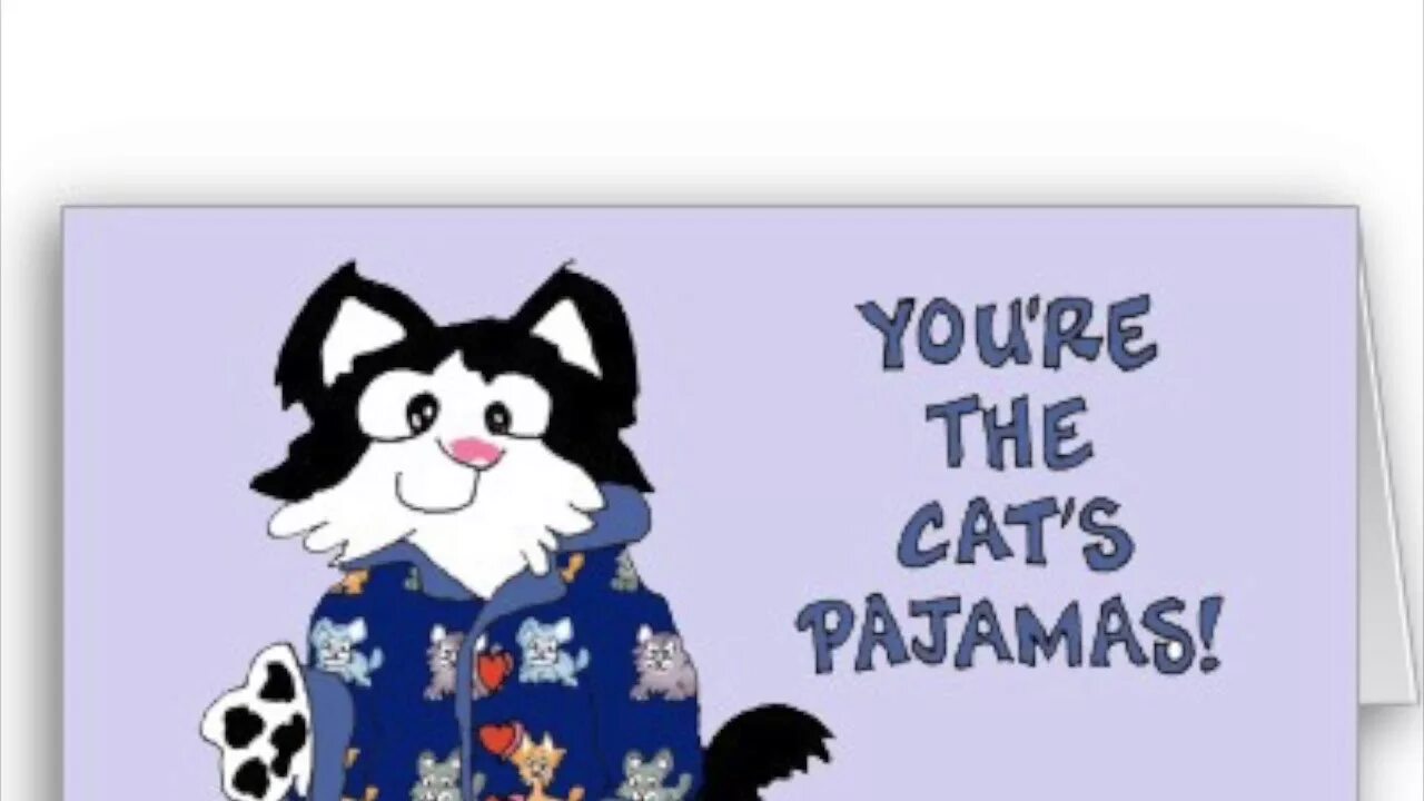 It s my cat. Cat's Meow/ Pyjamas идиома. Cat Pijamas. You are the Cat's Pajamas. Pyro Cat's Pajamas.