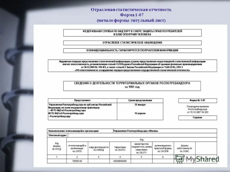 Статистическая отчетность. Титульный лист статистической отчетности. Статистическая отчетность образец. Реквизиты статистической отчетности.