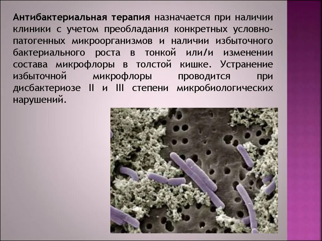 Симптомы нарушенной микрофлоры. Патогенные и условно патогенные бактерии. Условно-патогенные микроорганизмы. Условно патогенные микробы. Анаэробные условно патогенные бактерии.