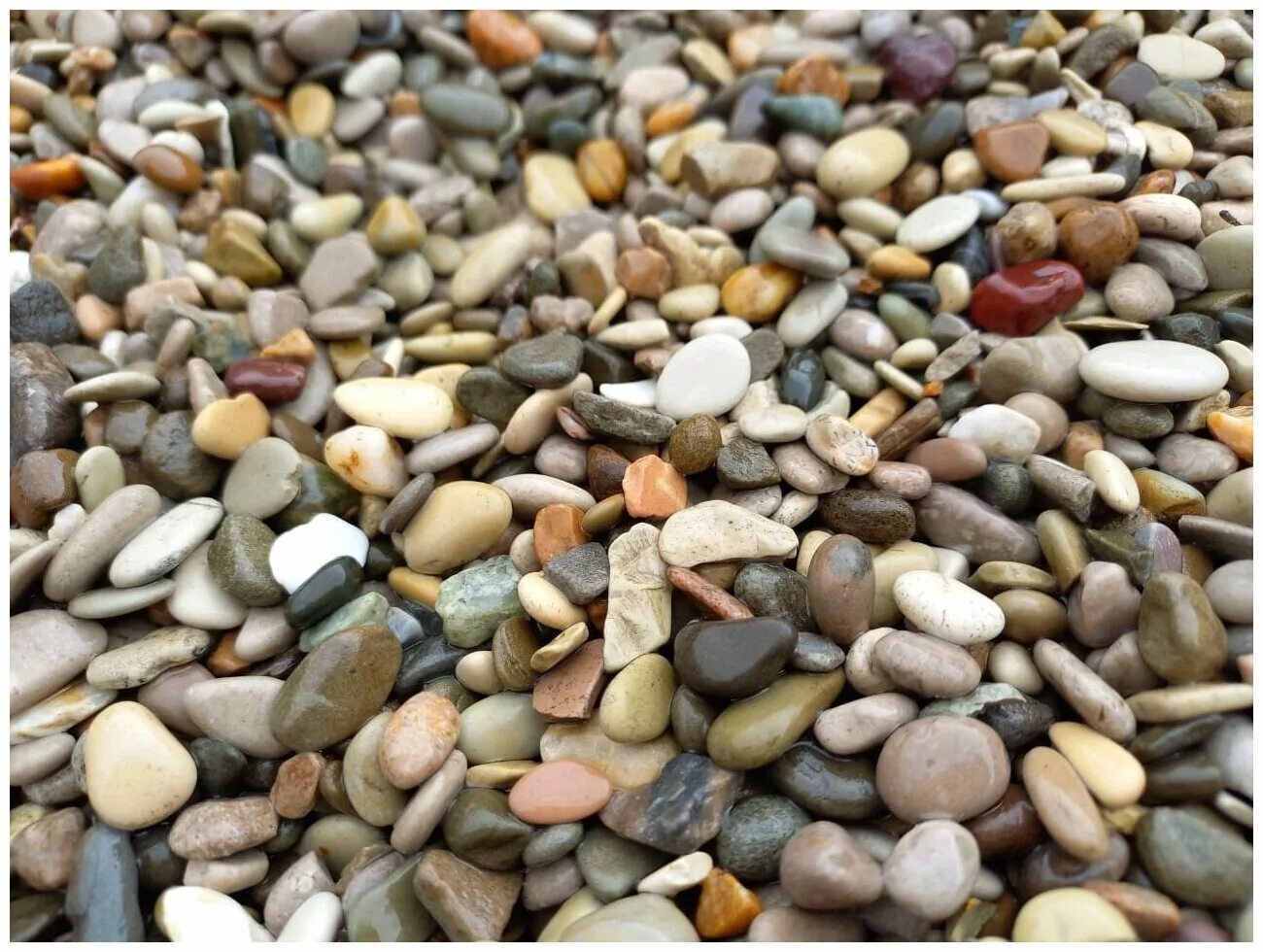 грунт prime галька каспийская 3-5 мм 2,7кг. Sas грунт галька смесь мелкая. грунт для аквариума «галька цветная» фр 8-12 мм, чёрный, 800 г. эко грунт галька реликтовая. эко грунт галька реликтовая №1 2-5 мм 3,5.