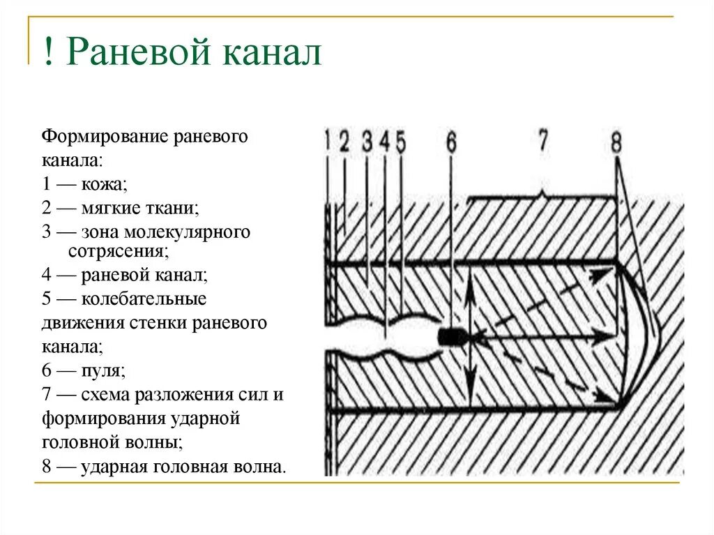 Зоны огнестрельного ранения. Зоны огнестрельной раны схема. зоны раневого канала при огнестрельном ранении. зоны повреждения при огнестрельных ранения. раневая полость и раневой канал.