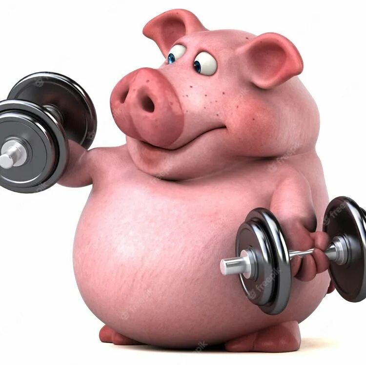 Самое толстое животное. Огромная свинья. Спортивный поросенок. Большая свинья. Задумчивая свинья.