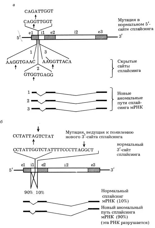 Интерпретируйте записи мутаций в генах. Детекция пцр. Хмпз заболевание крови что это. Детекция это в медицине. Мутация тирозинкиназы jak2.