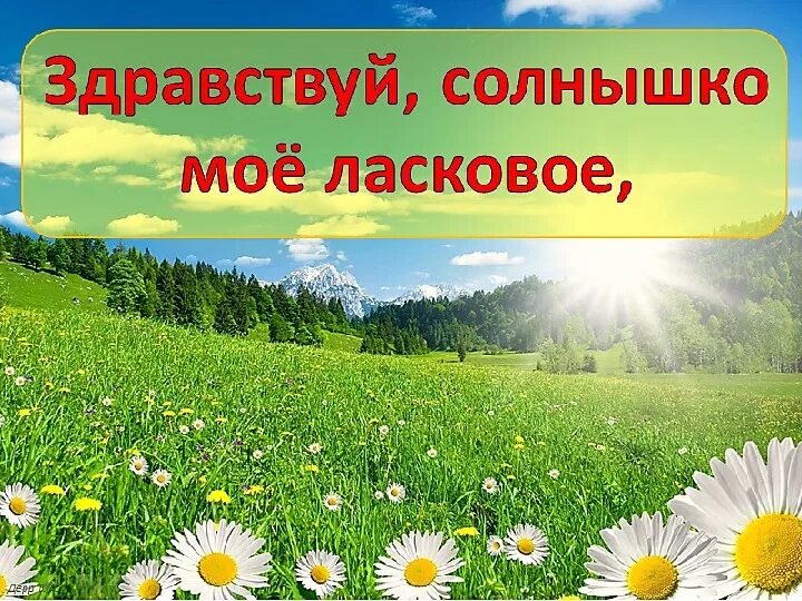 Песня привет солнышко. Здравствуй, солнышко. Здравствуй солнце. Здравствуй солнышко мое. Здоавствуй солнышко моё.