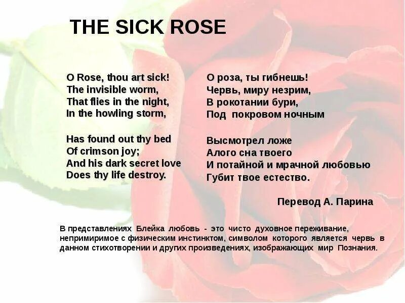 Rise rose risen как переводится. The sick Rose. Sick перевод. Переводчик sick. Перевод стихотворения in the Dark.