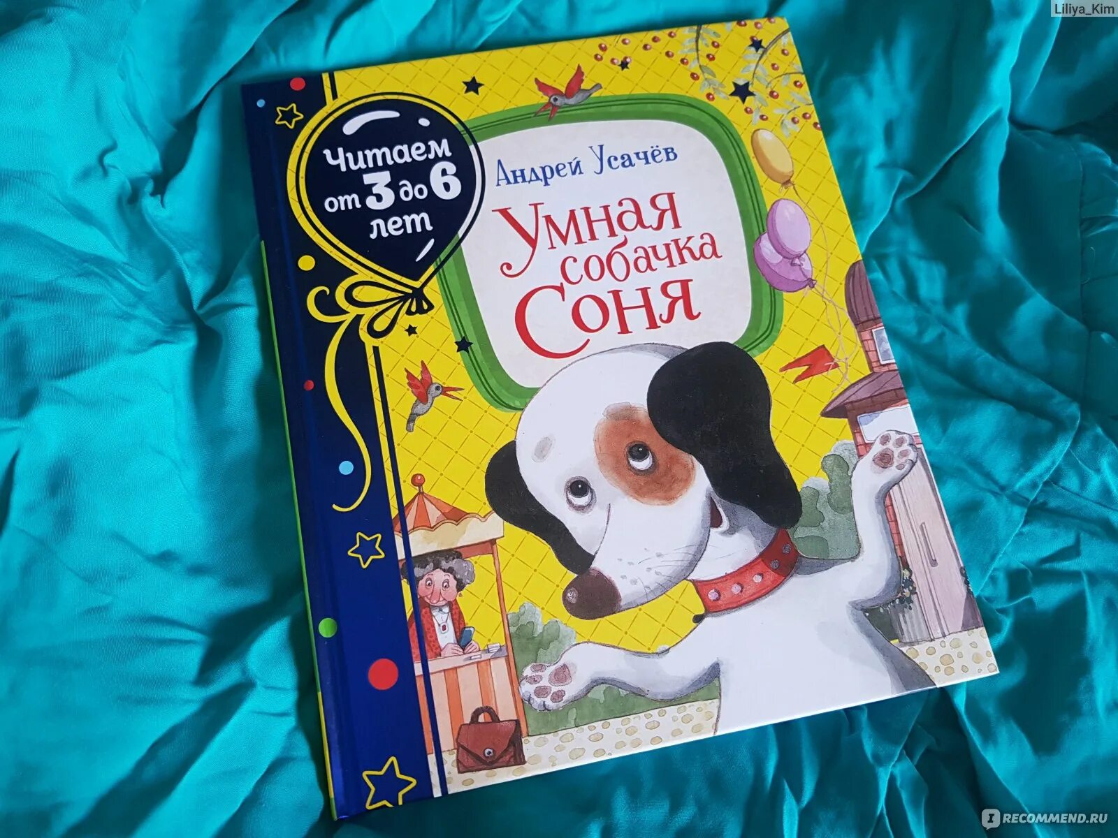 Книга про соню