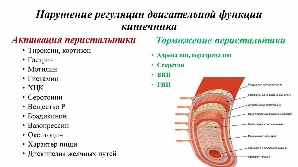 Нарушение двигательной функции кишечника. Нарушение моторной функции кишечника. Нарушения моторной функции кишки.. Снижение моторики кишечника. Адреналин кишечник