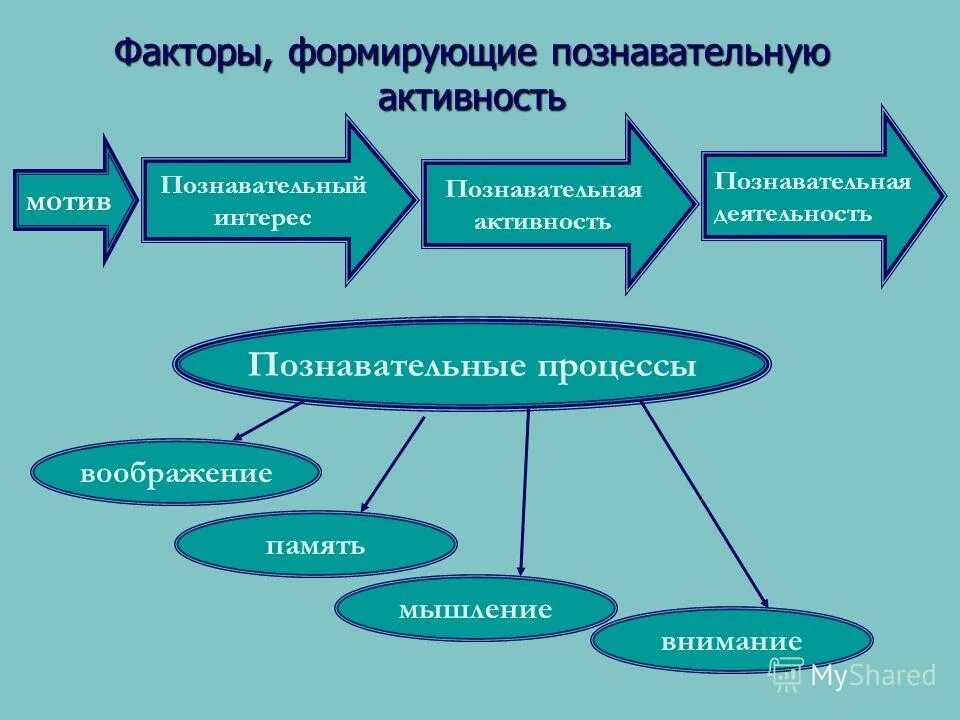 Мотив познавательной деятельности. Мотив познавательной деятельности