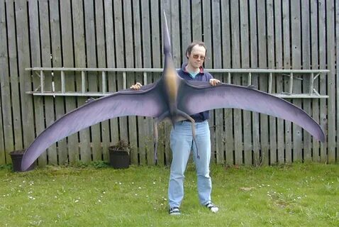 Pterodactyl installer