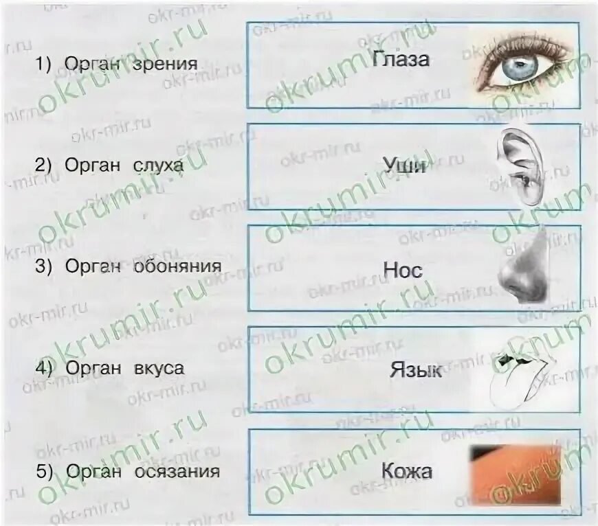 Окружающий мир 3 класс плешаков органы чувств. Условные знаки органов чувств. условные знаки к правилам гигиены органов чувств. органы чувств нарисуйте условные знаки к правилам гигиены органов. орган зрения нарисуйте условные знаки.