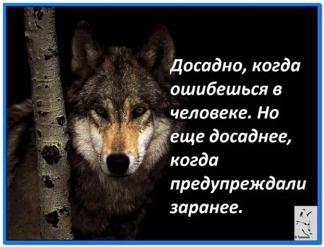 Досадно. Обидно досадно. обидно но факт. обидно досадно но ладно картинки со словами. что значит досадно.