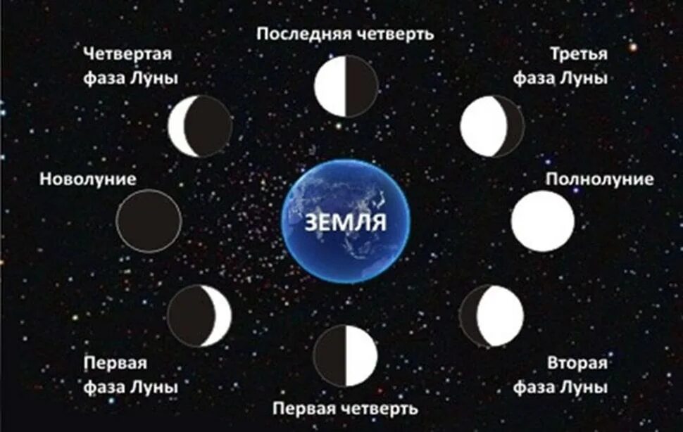 Фазы Луны новолуние первая четверть. Фазы Луны новолуние первая четверть полнолуние последняя четверть. Новолуние первая четверть полнолуние и последняя четверть. Вид Луны между первой четвертью и полнолунием. Сколько частей луны