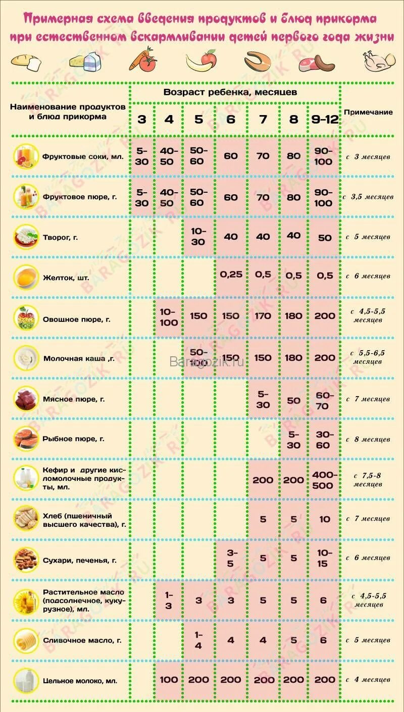 Продукты в 6 месяцев. Таблица прикорма детей с 6 месяцев. Первый прикорм для грудничков таблица. Таблица кормления 6 месяцев начало прикорма. Схема ввода прикорма при искусственном вскармливании с 4.