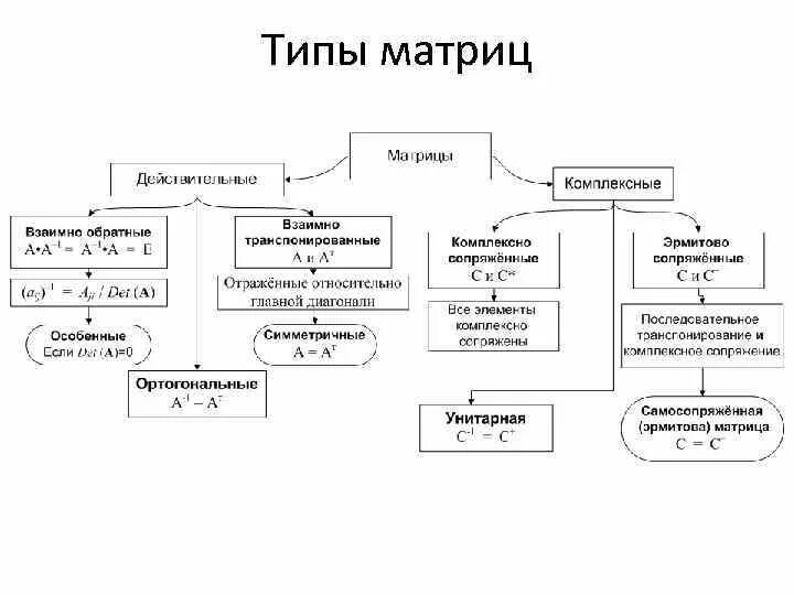 Типы матриц мониторов и их различия