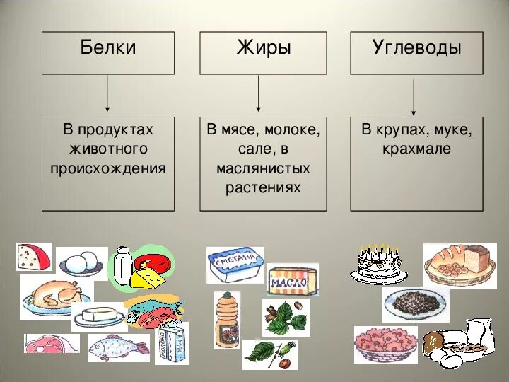 Где белки жиры и углеводы. Где содержатся белки жиры и углеводы. Правильное питание белки жиры углеводы таблица. Еда которая содержит белки жиры и углеводы. Продукты с белками жирами и углеводами.