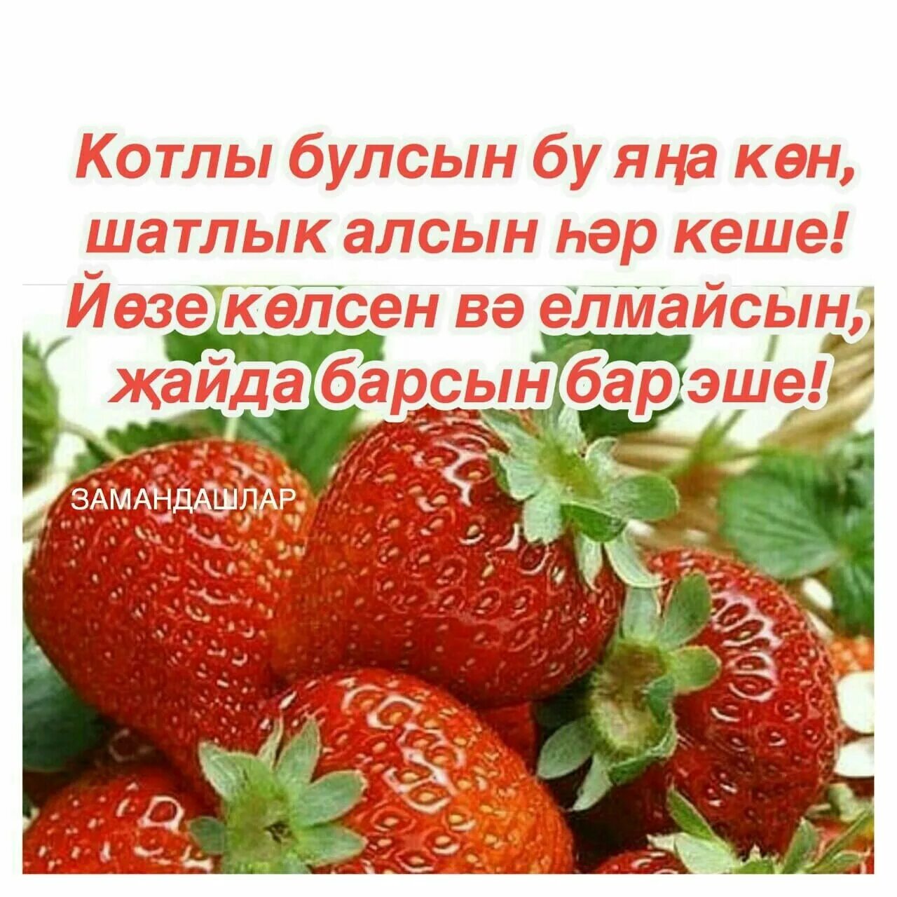 Открытки пожелания доброго утра на татарском. Поздравление с добрым утром на татарском языке. Открытки с добрым утром на татарском. Пожелания с добрым на татарском языке. Пожелания доброго утра на татарском языке.