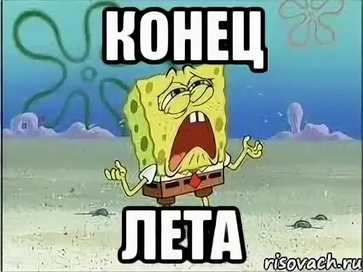 Мемы лета 2024