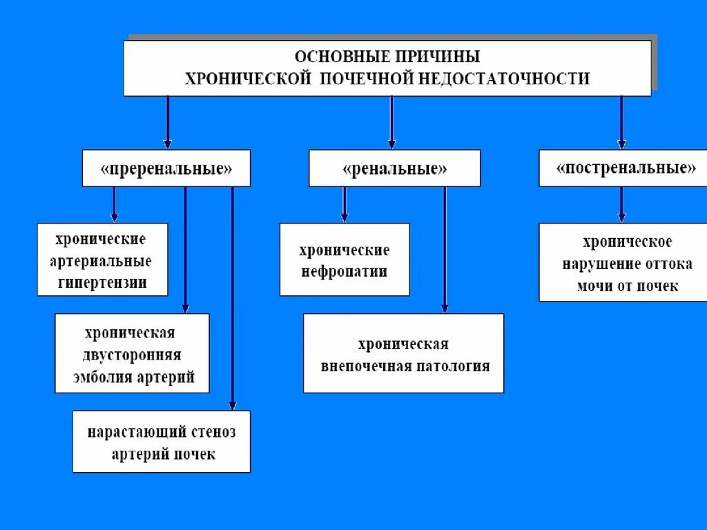 Хроническая почечная недостаточность причины. Причины развития хронической почечной недостаточности. Факторы хронической почечной недостаточности. Перечислите основные причины острой почечной недостаточности. Одной из причин почечной недостаточности является