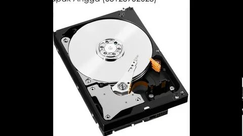 Hard drive goose